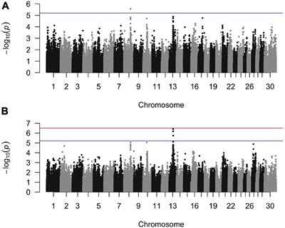 Genome-Wide Association Studies Reveal Susceptibility Loci for Noninfectious Claw Lesions in Holstein Dairy Cattle